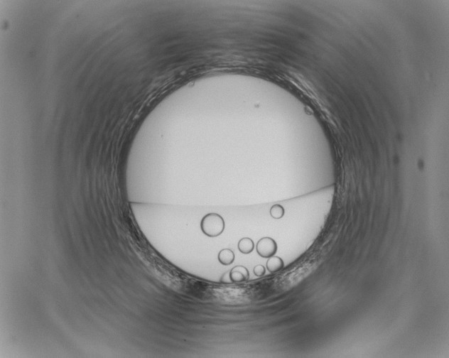 X0000062870265200602031724