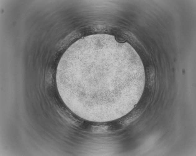 X0000062870266200602031724