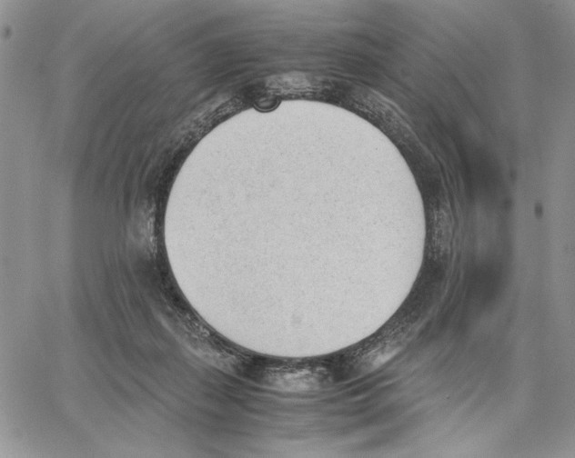 X0000062870267200602031724