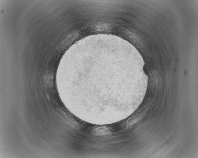 X0000062870269200602031724