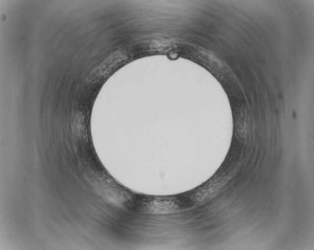 X0000062870270200602031724