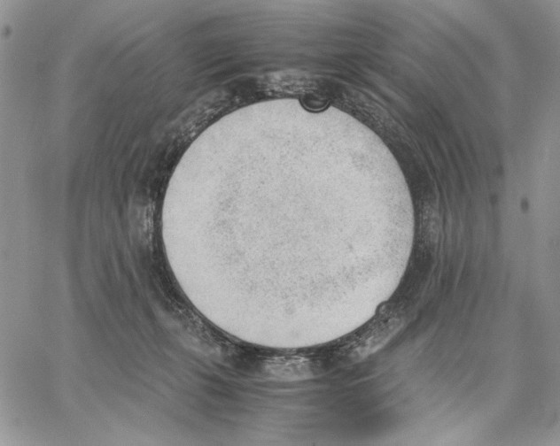 X0000062870271200602031724