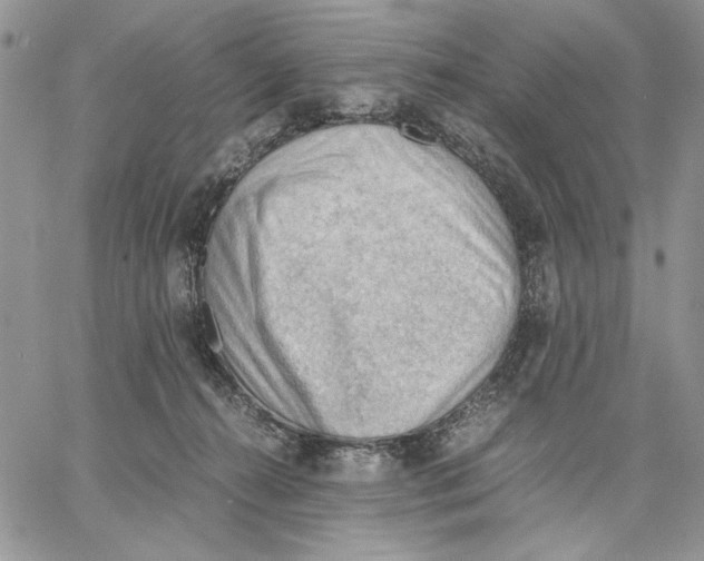 X0000062870272200602031724