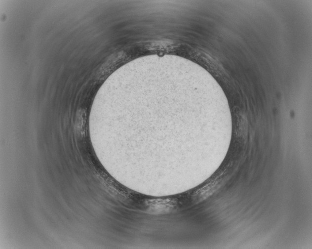 X0000062870273200602031724