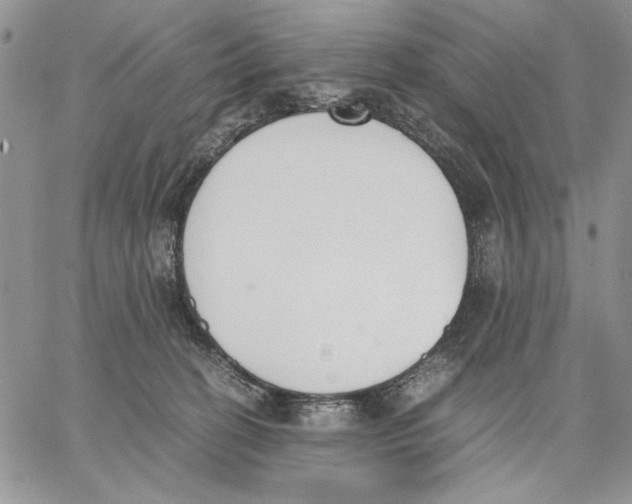 X0000062870274200602031724