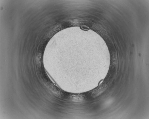 X0000062870275200602031724