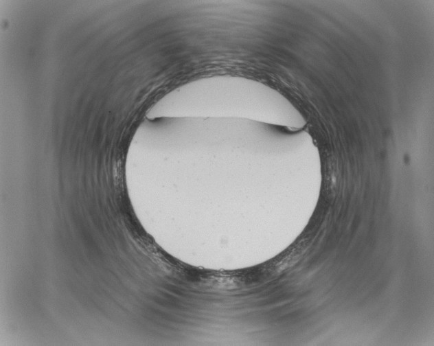 X0000062870276200602031724