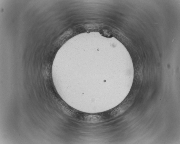 X0000062870277200602031724