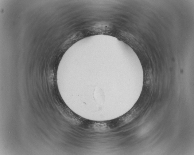 X0000062870279200602031724