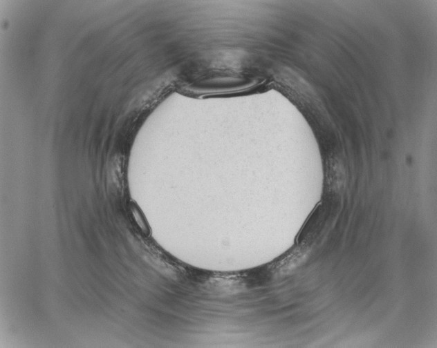 X0000062870280200602031724