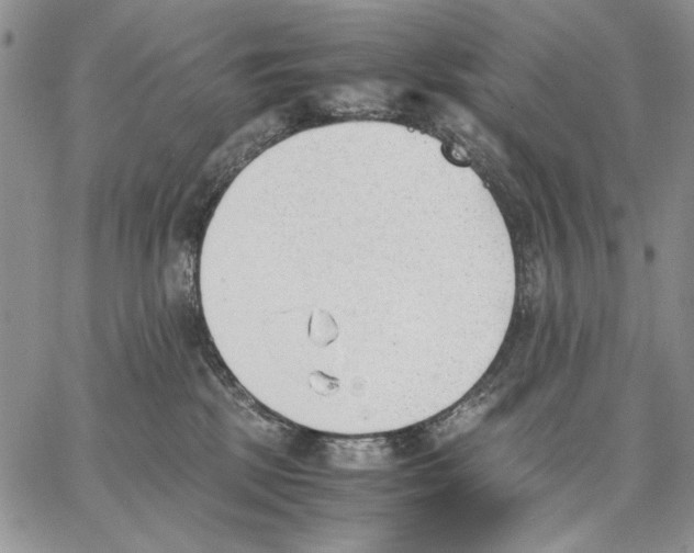 X0000062870281200602031724