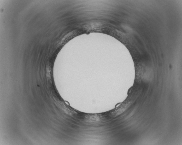 X0000062870282200602031724