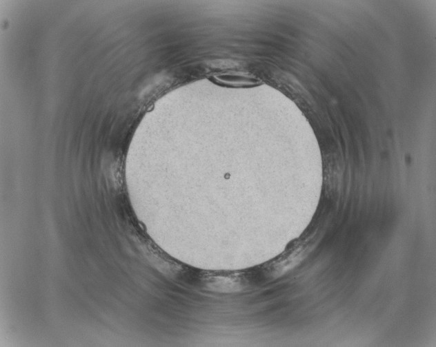 X0000062870285200602031724