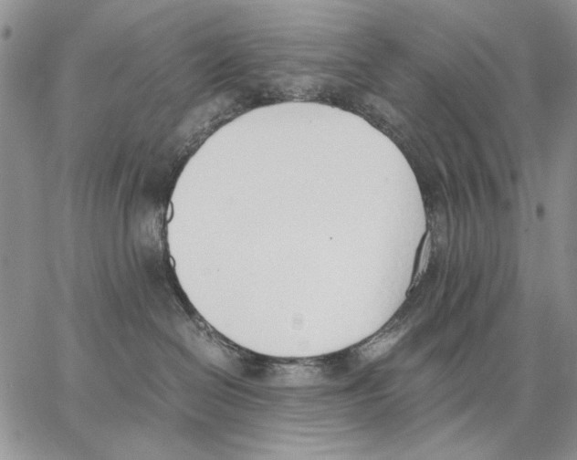 X0000062870286200602031724