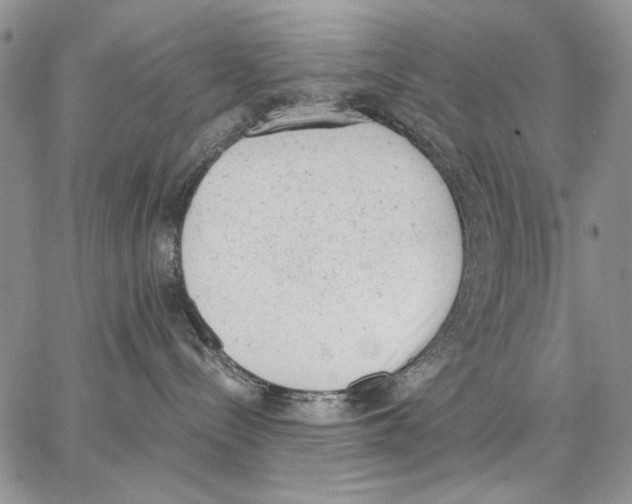 X0000062870288200602031724