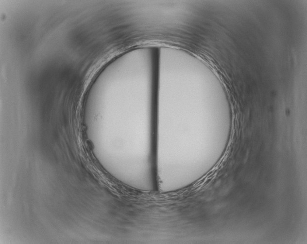 X0000062870289200602031724