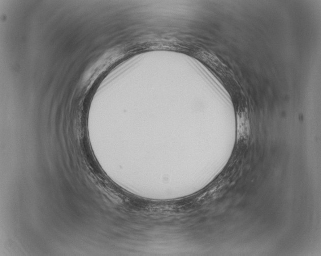 X0000062870291200602031723