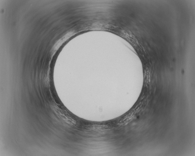 X0000062870292200602031723