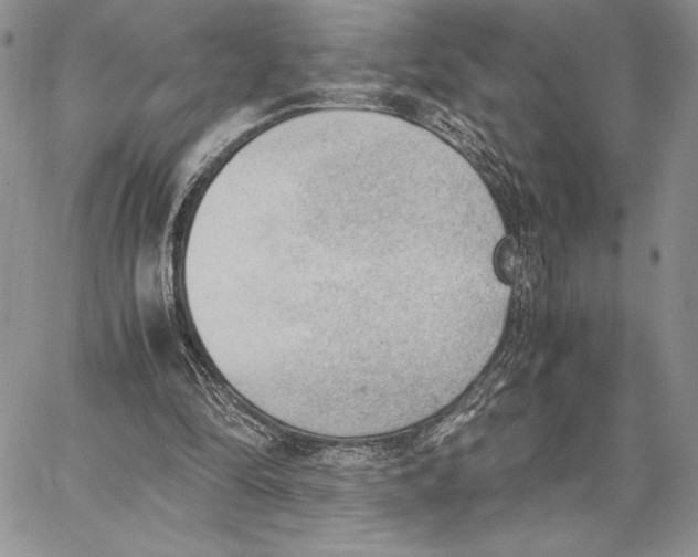 X0000062870294200602031723