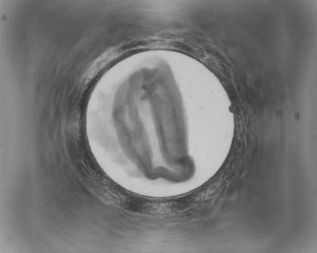 X0000062870295200602031723