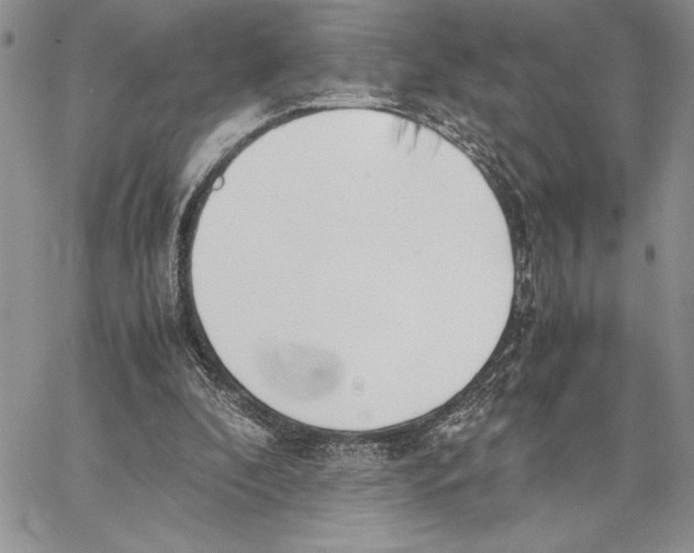 X0000062870296200602031723