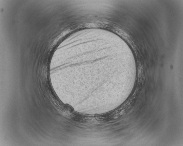 X0000062870297200602031723