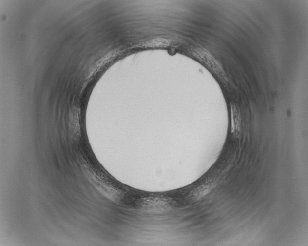 X0000062870300200602031723