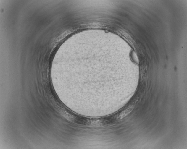 X0000062870301200602031723