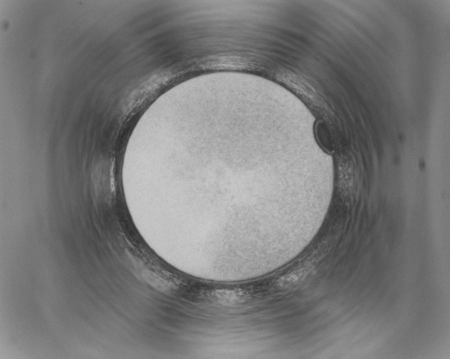 X0000062870302200602031723