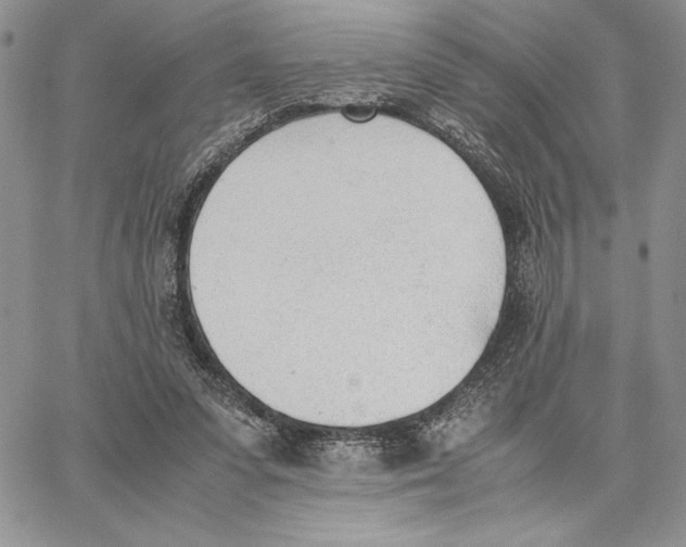 X0000062870303200602031723