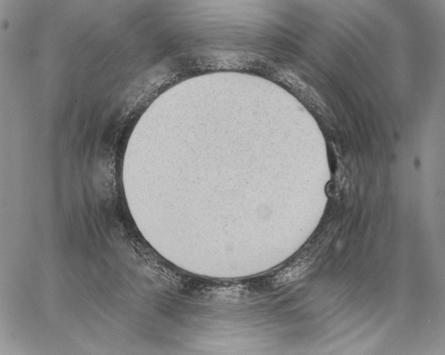 X0000062870306200602031723