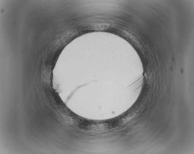 X0000062870307200602031723