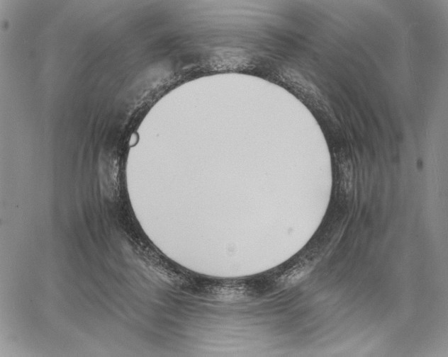 X0000062870308200602031723