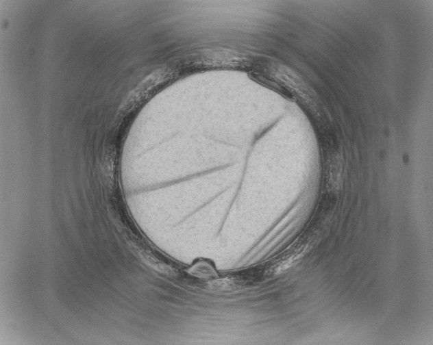 X0000062870309200602031723