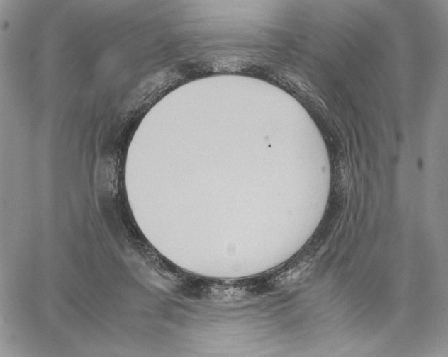 X0000062870311200602031723