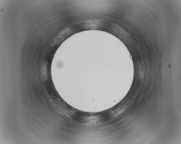 X0000062870312200602031723