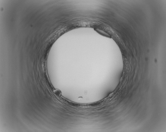 X0000062870313200602031723