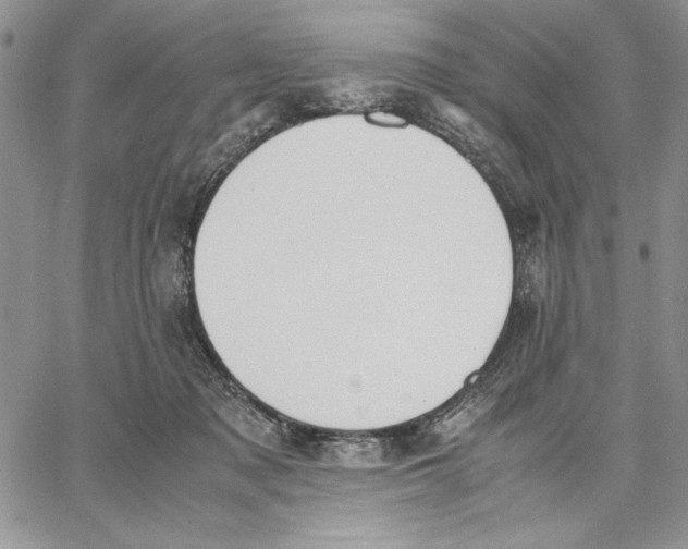 X0000062870317200602031723