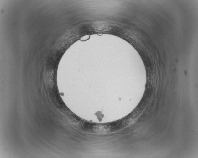 X0000062870319200602031723