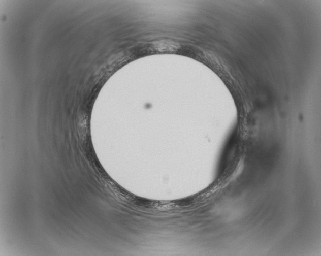 X0000062870321200602031723