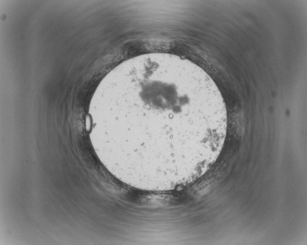 X0000062870323200602031723