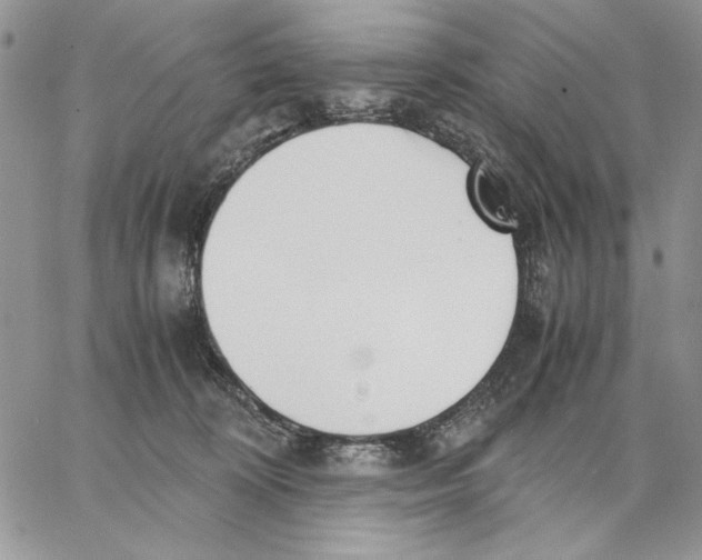 X0000062870324200602031723