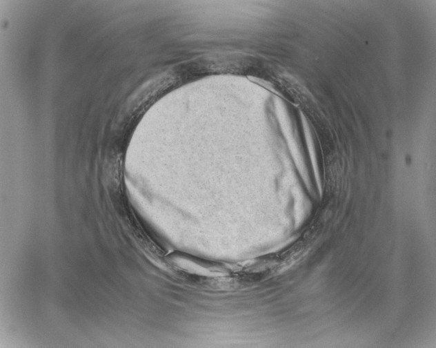 X0000062870325200602031723