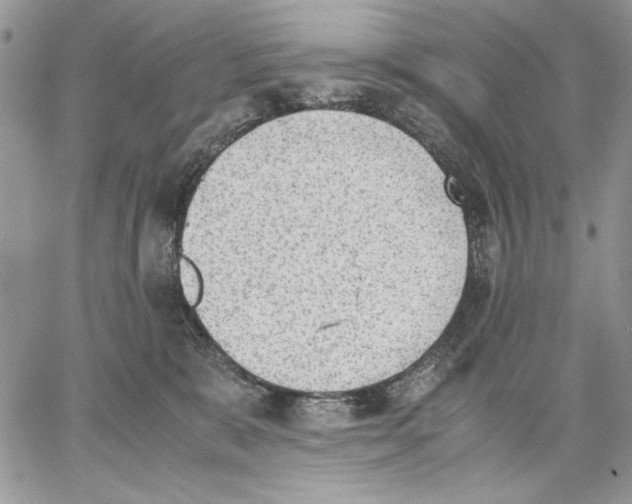 X0000062870327200602031723