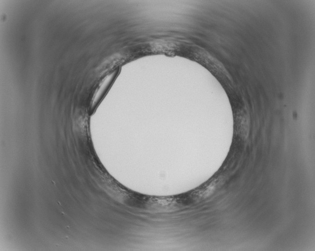 X0000062870329200602031723