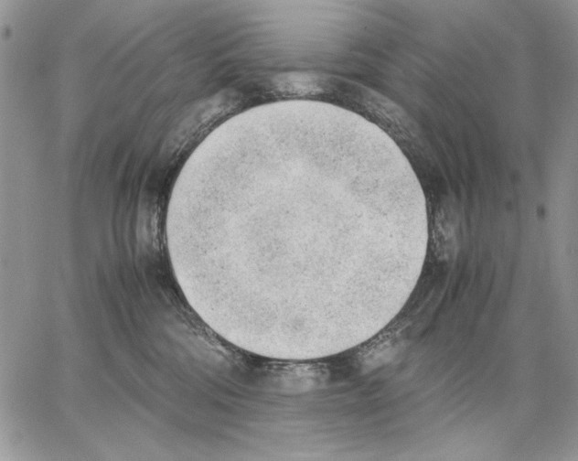 X0000062870330200602031723