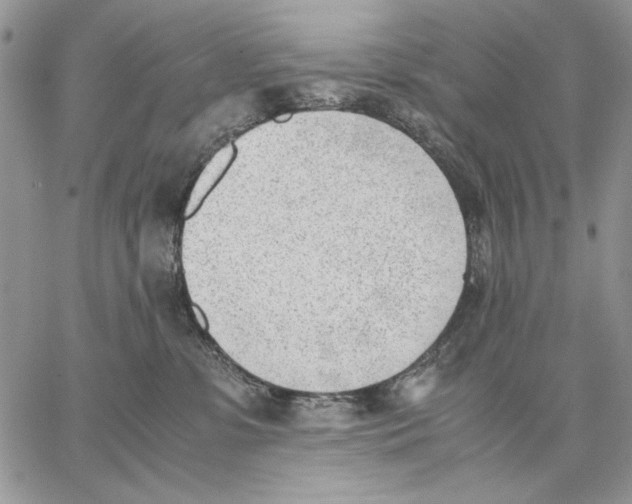 X0000062870331200602031723