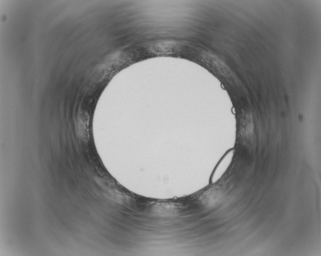 X0000062870332200602031723