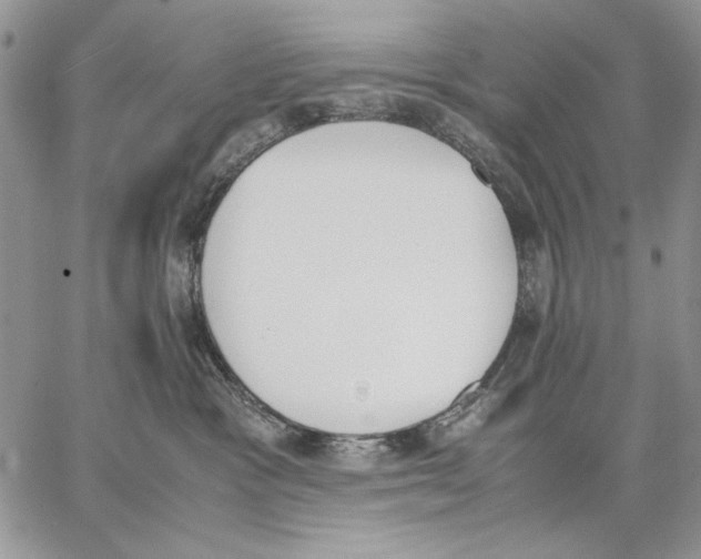 X0000062870333200602031723