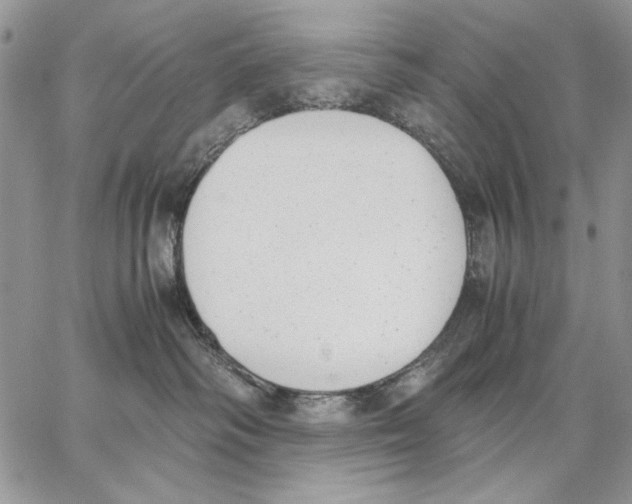 X0000062870334200602031723